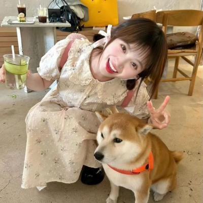 活动写真