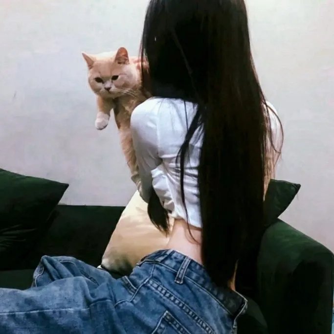 恋上女镖师